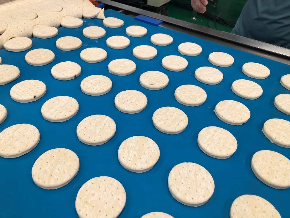automatic donut production line